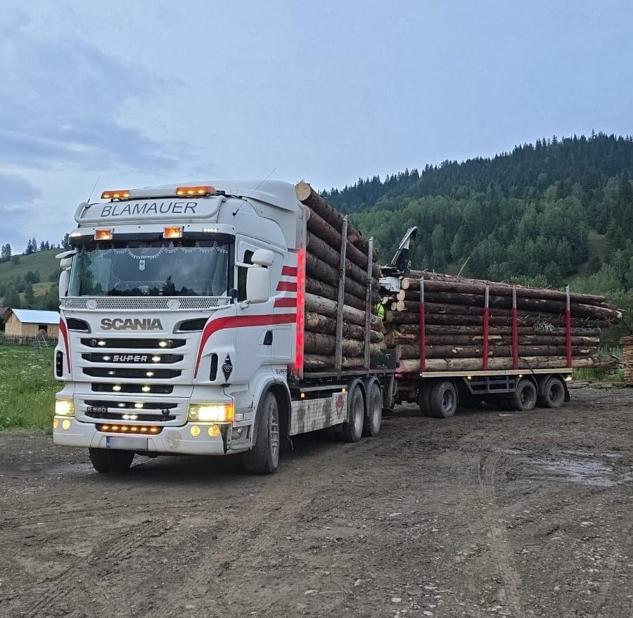SCANIA R560 V8 - Φορτηγό ξυλείας, Φορτηγό με γερανό: φωτογραφία 1 SCANIA R560 V8 - Φορτηγό ξυλείας, Φορτηγό με γερανό: φωτογραφία 1