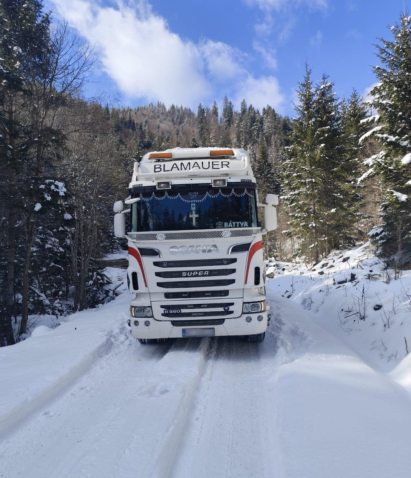 SCANIA R560 V8 - Φορτηγό ξυλείας, Φορτηγό με γερανό: φωτογραφία 4 SCANIA R560 V8 - Φορτηγό ξυλείας, Φορτηγό με γερανό: φωτογραφία 4