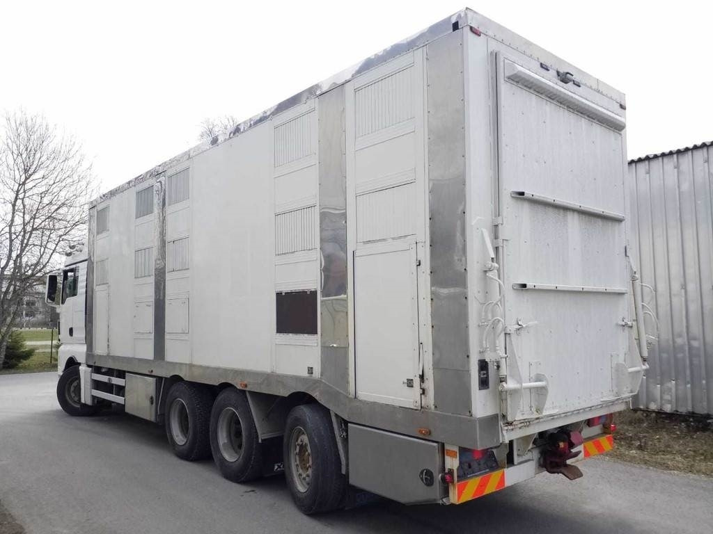 MAN TGX 35.540 8X4 TRIDEM ANIMAL - Φορτηγό μεταφορά ζώων: φωτογραφία 2 MAN TGX 35.540 8X4 TRIDEM ANIMAL - Φορτηγό μεταφορά ζώων: φωτογραφία 2