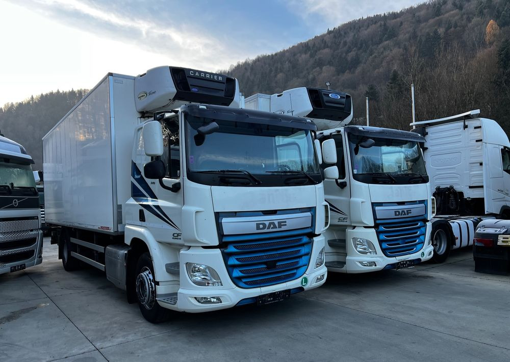 DAF CF370 // Chłodnia Carrier Supra 850 // Sypialka // 2017 Rok // ACC // - Φορτηγό ψυγείο: φωτογραφία 3 DAF CF370 // Chłodnia Carrier Supra 850 // Sypialka // 2017 Rok // ACC // - Φορτηγό ψυγείο: φωτογραφία 3