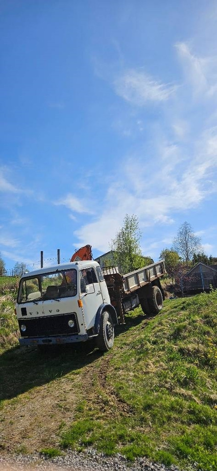 Volvo F 86 42 Hiab 550-2 - Φορτηγό με γερανό: φωτογραφία 5 Volvo F 86 42 Hiab 550-2 - Φορτηγό με γερανό: φωτογραφία 5