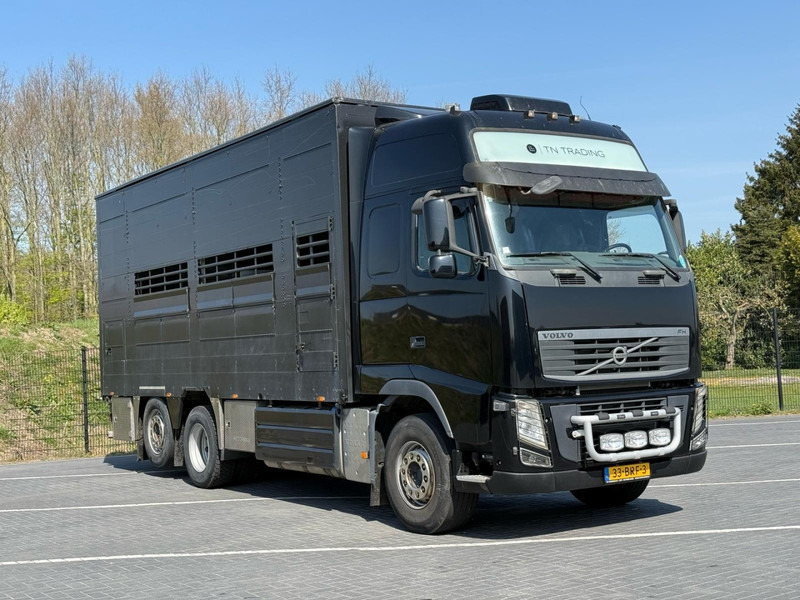 Volvo FH 13.540 STEERING, RETARDER, DOUBLE FLOOR, LIVE STOCK. - Φορτηγό μεταφορά ζώων: φωτογραφία 2 Volvo FH 13.540 STEERING, RETARDER, DOUBLE FLOOR, LIVE STOCK. - Φορτηγό μεταφορά ζώων: φωτογραφία 2
