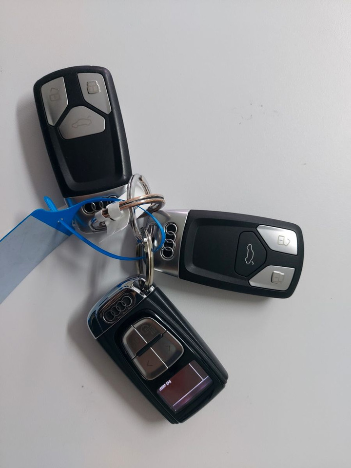 Audi Q7 3.0 TDI quattro S-Line Pano Alcantara AHK - SUV: φωτογραφία 4 Audi Q7 3.0 TDI quattro S-Line Pano Alcantara AHK - SUV: φωτογραφία 4