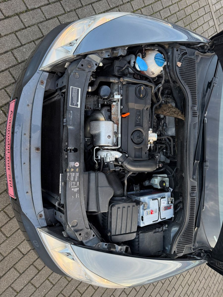 Λιμουζίνα/ Sedan Skoda Octavia 1.4 TSI Elegance: φωτογραφία 17