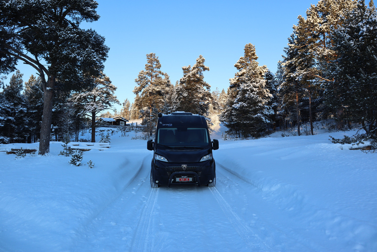 Bravia Swan 599 Nordic - Αυτοκινούμενο βαν: φωτογραφία 3 Bravia Swan 599 Nordic - Αυτοκινούμενο βαν: φωτογραφία 3
