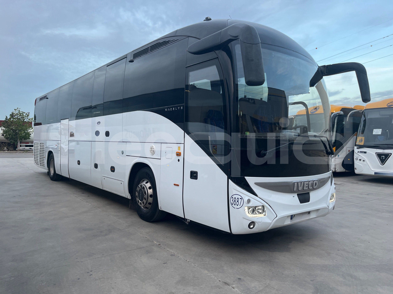 Iveco Magelys - Πούλμαν: φωτογραφία 1 Iveco Magelys - Πούλμαν: φωτογραφία 1