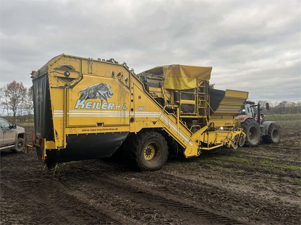 Ropa KEILER II L WD - Πατατοεξαγωγέας: φωτογραφία 1 Ropa KEILER II L WD - Πατατοεξαγωγέας: φωτογραφία 1