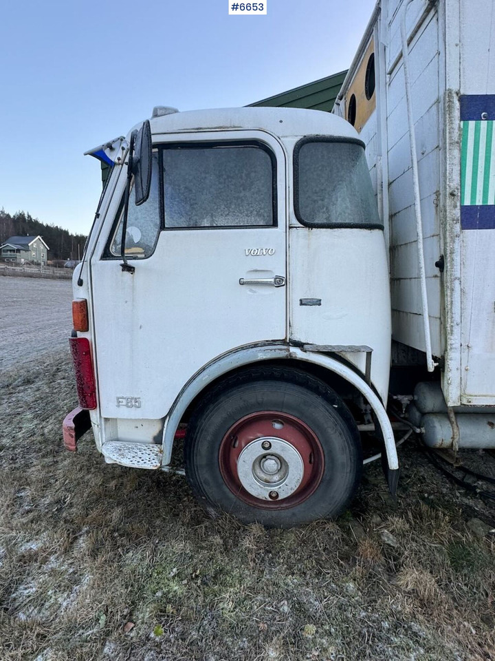 1971 Volvo F85 Livestock Transporter - Φορτηγό μεταφορά ζώων: φωτογραφία 3 1971 Volvo F85 Livestock Transporter - Φορτηγό μεταφορά ζώων: φωτογραφία 3