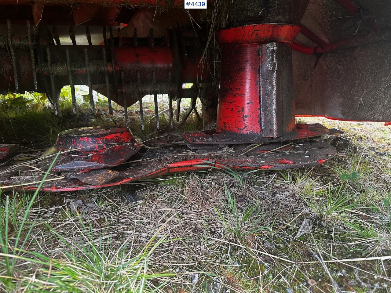 Σανού και κτηνοτροφικά μηχανήματα 2018 Kuhn FC 284 D mower: φωτογραφία 13