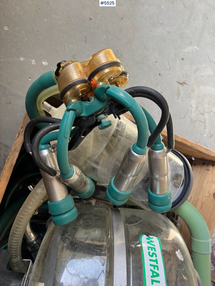 Westfalia Melkeanlegg - Αρμεκτική μηχανή: φωτογραφία 4 Westfalia Melkeanlegg - Αρμεκτική μηχανή: φωτογραφία 4