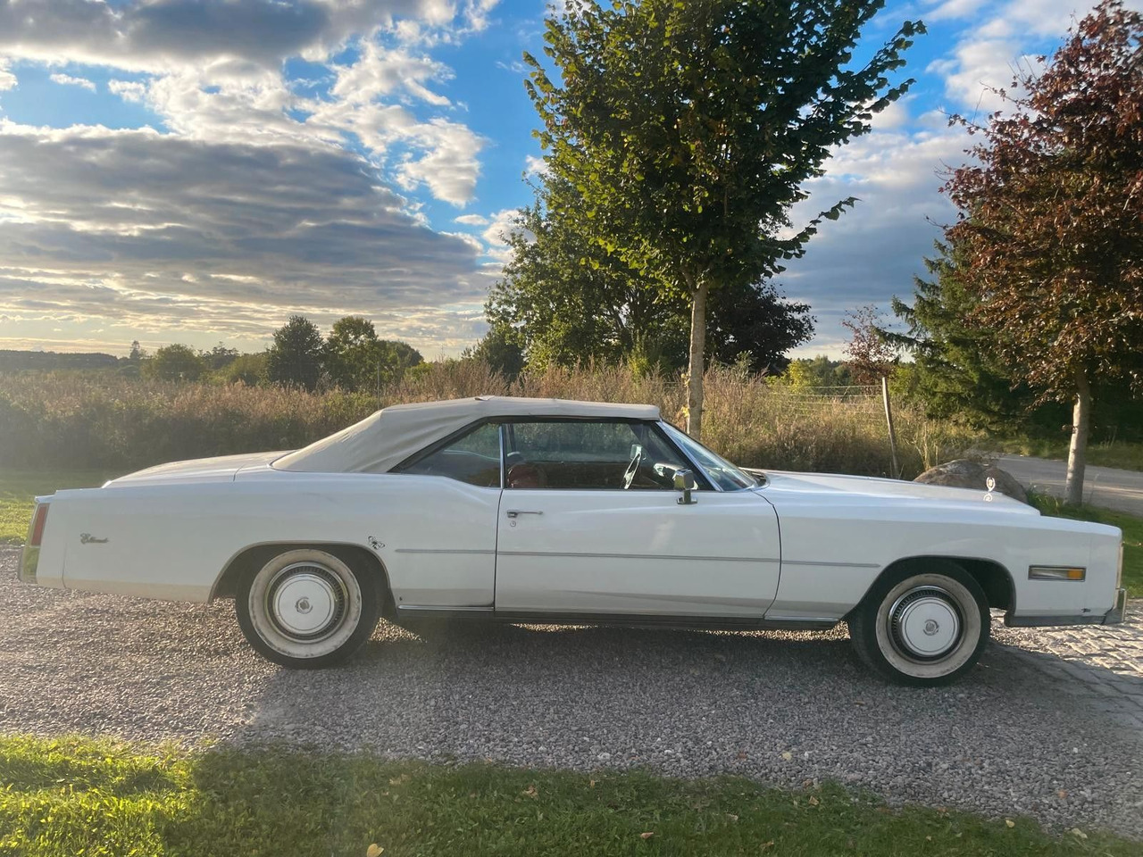 Cadillac Eldorado Convertible - Κάμπριο: φωτογραφία 5 Cadillac Eldorado Convertible - Κάμπριο: φωτογραφία 5