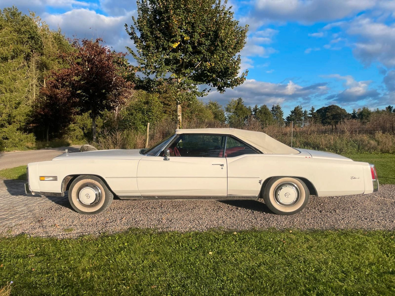 Cadillac Eldorado Convertible - Κάμπριο: φωτογραφία 2 Cadillac Eldorado Convertible - Κάμπριο: φωτογραφία 2