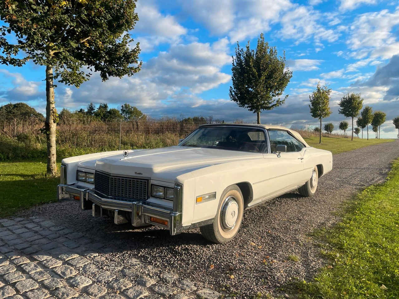 Cadillac Eldorado Convertible - Κάμπριο: φωτογραφία 1 Cadillac Eldorado Convertible - Κάμπριο: φωτογραφία 1