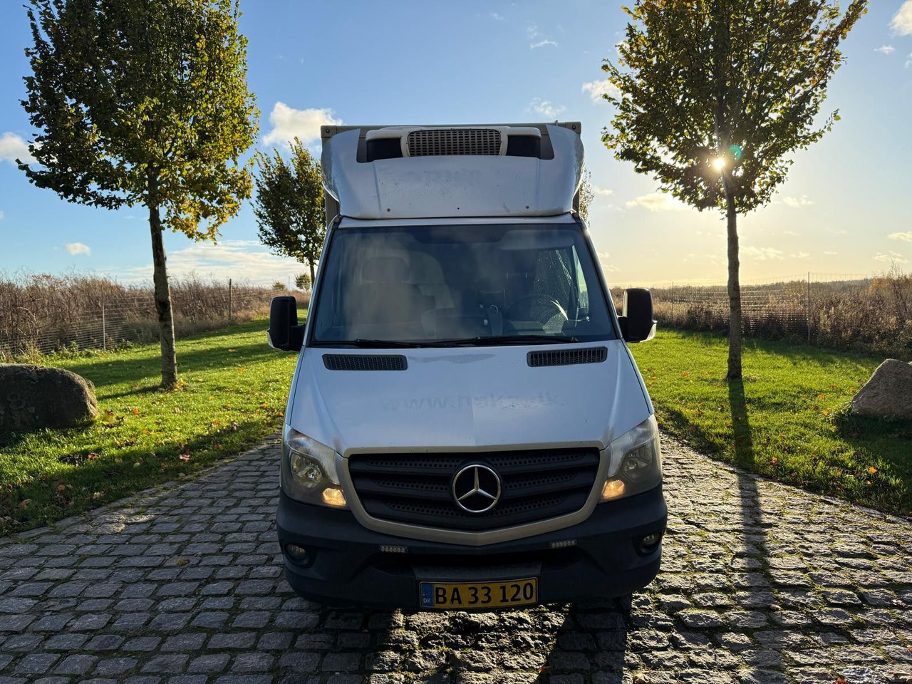 Mercedes-Benz Sprinter II 316 CDI Aut. Refigerator BOX +Lift - Επαγγελματικό αυτοκίνητο ψυγείο: φωτογραφία 4 Mercedes-Benz Sprinter II 316 CDI Aut. Refigerator BOX +Lift - Επαγγελματικό αυτοκίνητο ψυγείο: φωτογραφία 4