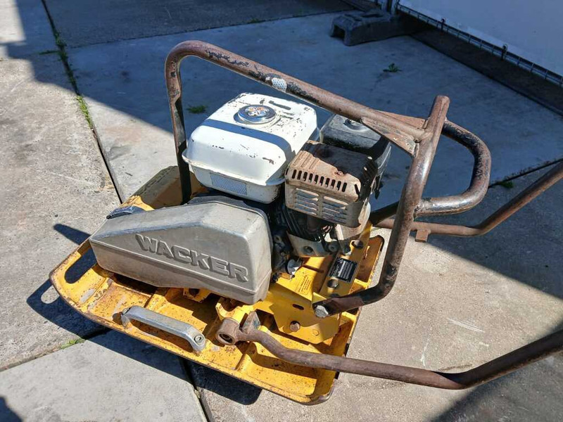 Wacker WPR 1350 - Δονητική πλάκα: φωτογραφία 4 Wacker WPR 1350 - Δονητική πλάκα: φωτογραφία 4