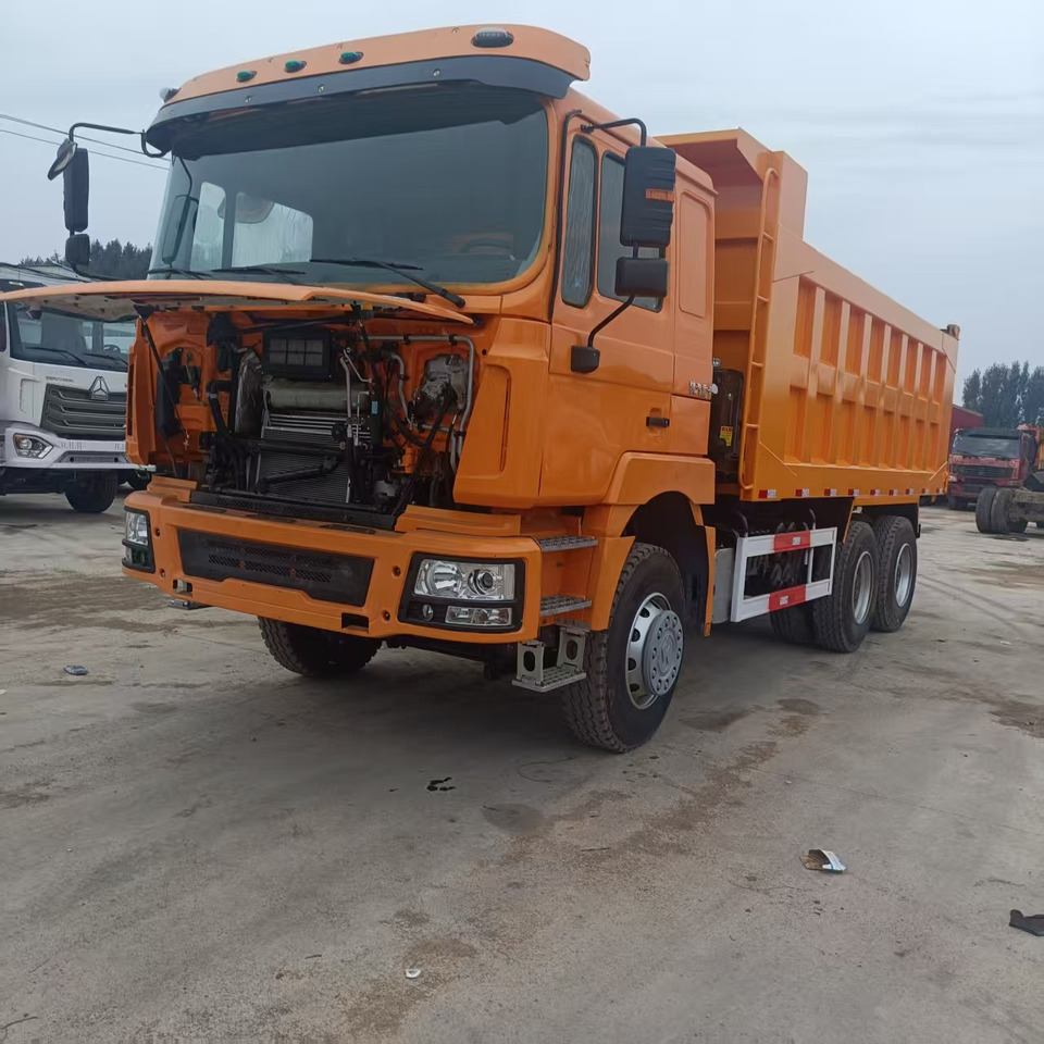 SHACMAN F3000 - Φορτηγό ανατρεπόμενο: φωτογραφία 2 SHACMAN F3000 - Φορτηγό ανατρεπόμενο: φωτογραφία 2