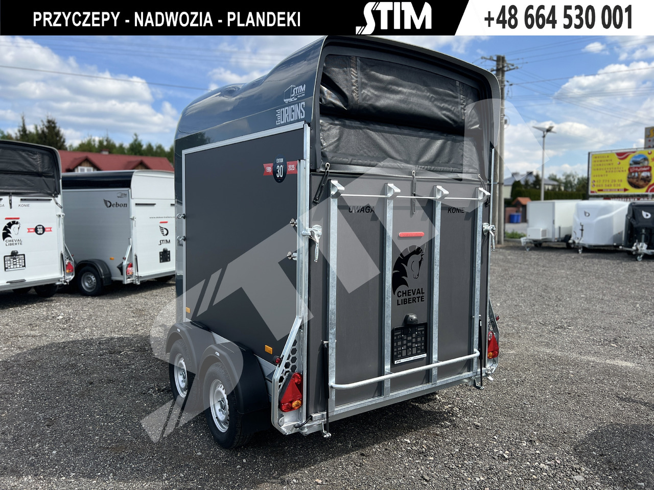 Leasing Cheval Liberté GOLD ORIGINS PODŁOGA ALU, BOKI SKLEJKA PPL Cheval Liberté GOLD ORIGINS PODŁOGA ALU, BOKI SKLEJKA PPL: φωτογραφία 6