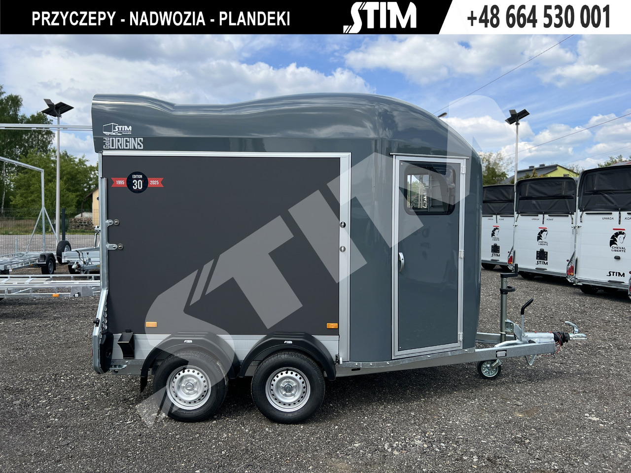 Cheval Liberté GOLD ORIGINS PODŁOGA ALU, BOKI SKLEJKA PPL - Τρέιλερ μεταφοράς αλόγων: φωτογραφία 3 Cheval Liberté GOLD ORIGINS PODŁOGA ALU, BOKI SKLEJKA PPL - Τρέιλερ μεταφοράς αλόγων: φωτογραφία 3