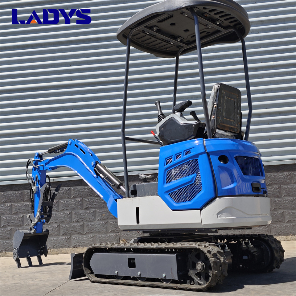 LADYS DY18Mini Excavator Digger Miniexcavadora EPA Kubota Engine Mini Excavator For Sale With Mini Excavator Attachment Set - Ερπυστριοφόρος εκσκαφέας: φωτογραφία 3 LADYS DY18Mini Excavator Digger Miniexcavadora EPA Kubota Engine Mini Excavator For Sale With Mini Excavator Attachment Set - Ερπυστριοφόρος εκσκαφέας: φωτογραφία 3