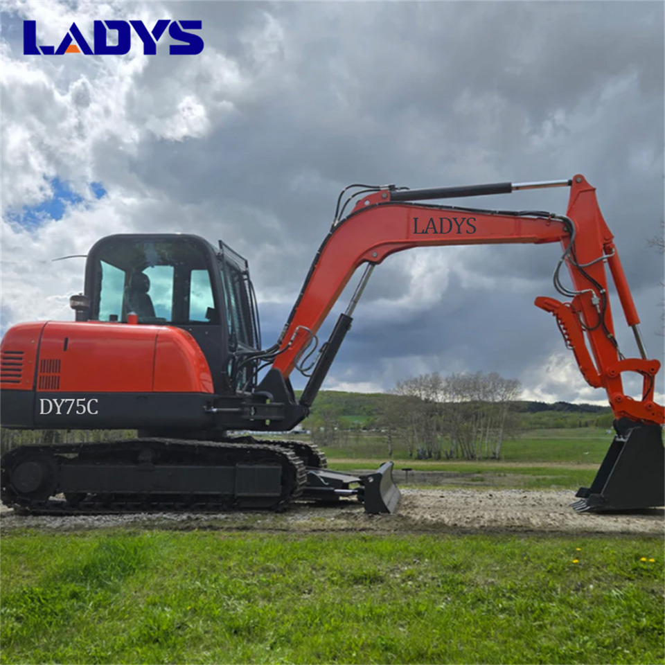 LADYS DY75C Small Excavator Euro 5/Epa Yanmar Engine Small Excavator Crawler Excavator For Sale - Ερπυστριοφόρος εκσκαφέας: φωτογραφία 1 LADYS DY75C Small Excavator Euro 5/Epa Yanmar Engine Small Excavator Crawler Excavator For Sale - Ερπυστριοφόρος εκσκαφέας: φωτογραφία 1