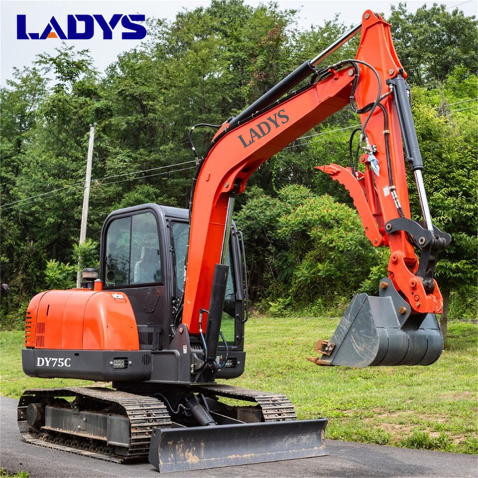 LADYS DY75C Small Excavator Euro 5/Epa Yanmar Engine Small Excavator Crawler Excavator For Sale - Ερπυστριοφόρος εκσκαφέας: φωτογραφία 4 LADYS DY75C Small Excavator Euro 5/Epa Yanmar Engine Small Excavator Crawler Excavator For Sale - Ερπυστριοφόρος εκσκαφέας: φωτογραφία 4