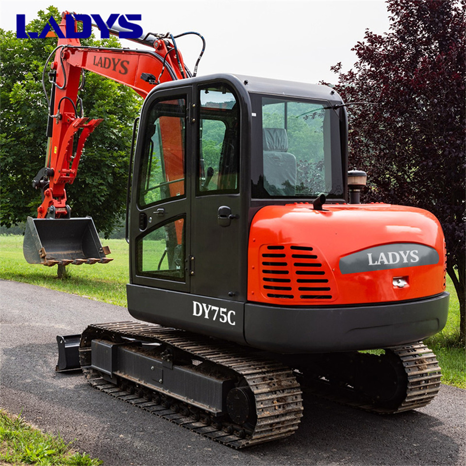 LADYS DY75C Small Excavator Euro 5/Epa Yanmar Engine Small Excavator Crawler Excavator For Sale - Ερπυστριοφόρος εκσκαφέας: φωτογραφία 5 LADYS DY75C Small Excavator Euro 5/Epa Yanmar Engine Small Excavator Crawler Excavator For Sale - Ερπυστριοφόρος εκσκαφέας: φωτογραφία 5