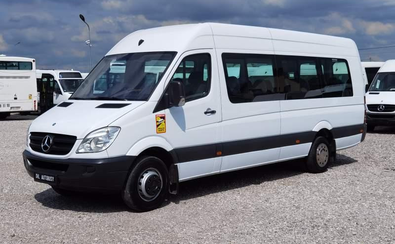 Μικρό λεωφορείο, Επιβατικό βαν Mercedes-Benz Sprinter 2011 *Euro 5*: φωτογραφία 17