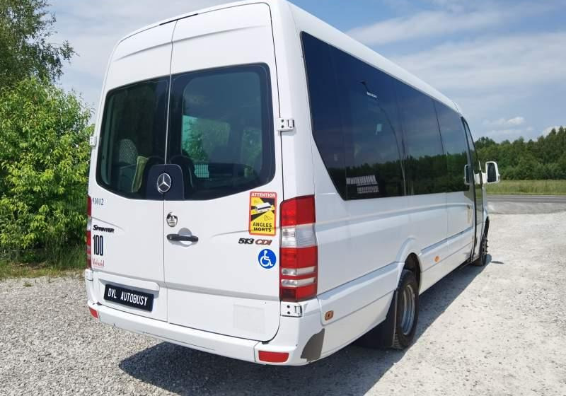 Προαστιακό λεωφορείο Mercedes-Benz Sprinter *klima*webasto*: φωτογραφία 15