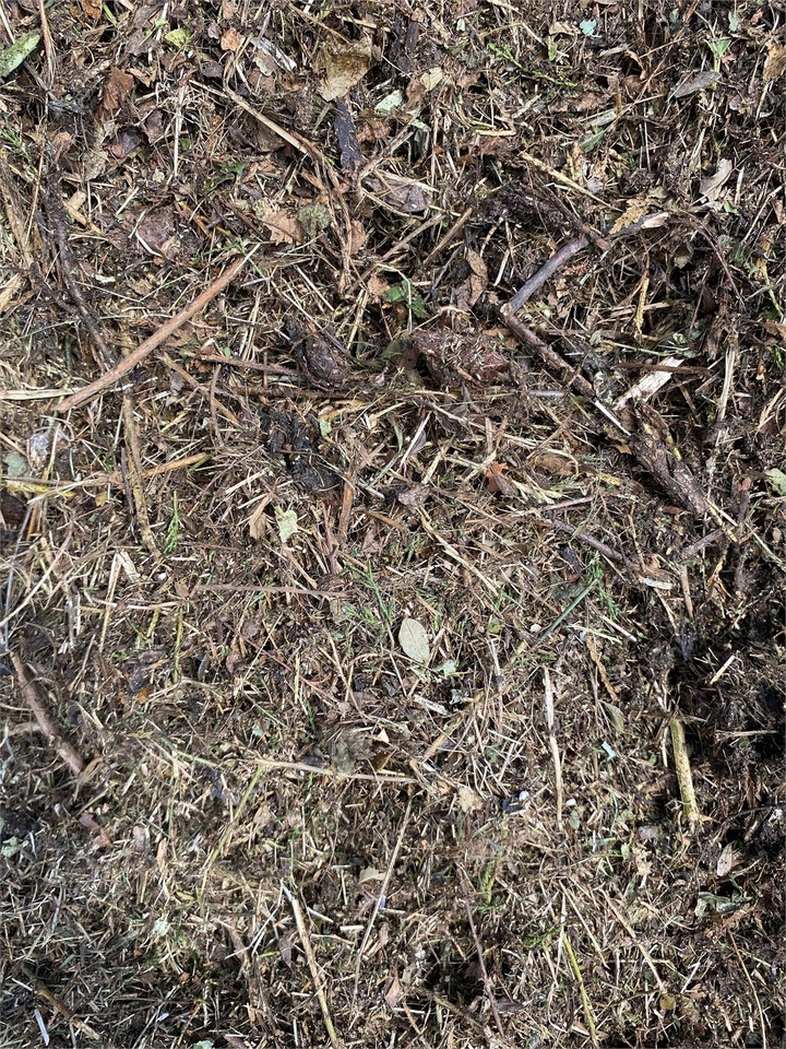 Αχυροκοπτικό Bizon B-1030 Kompost Schredder Biomasse Mist Compost shr: φωτογραφία 8