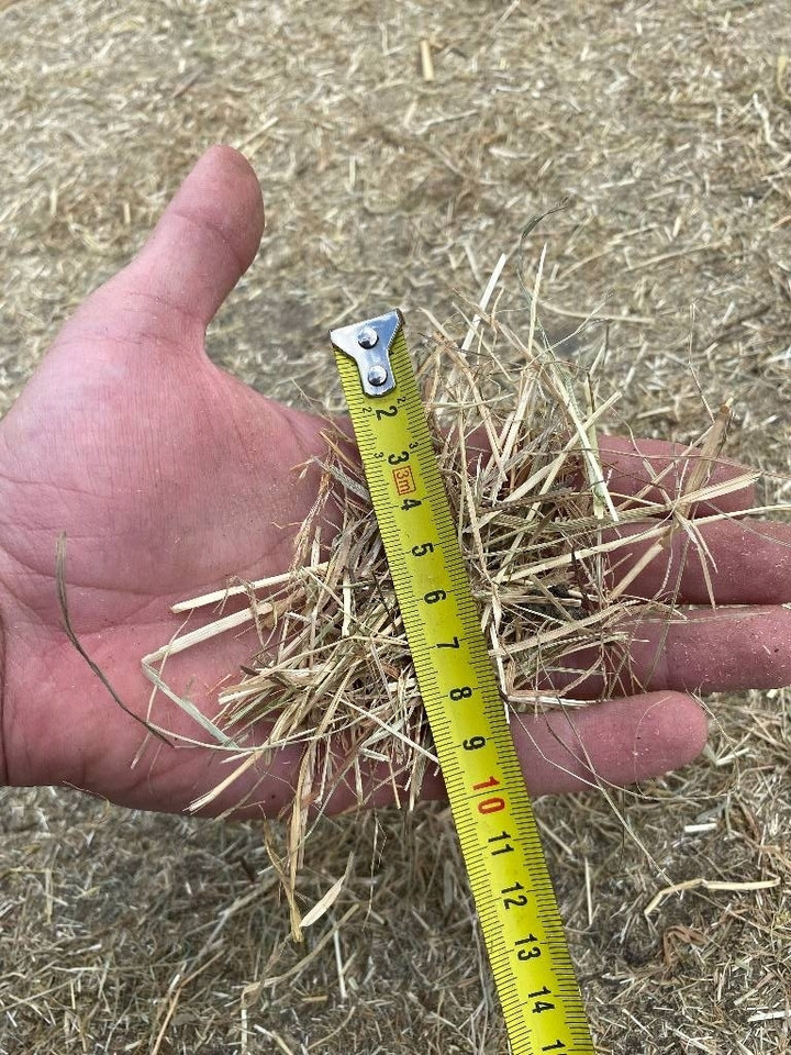 Αχυροκοπτικό Bizon B-1030 no teagle, roto grind haybuster Grinder, Hä: φωτογραφία 12