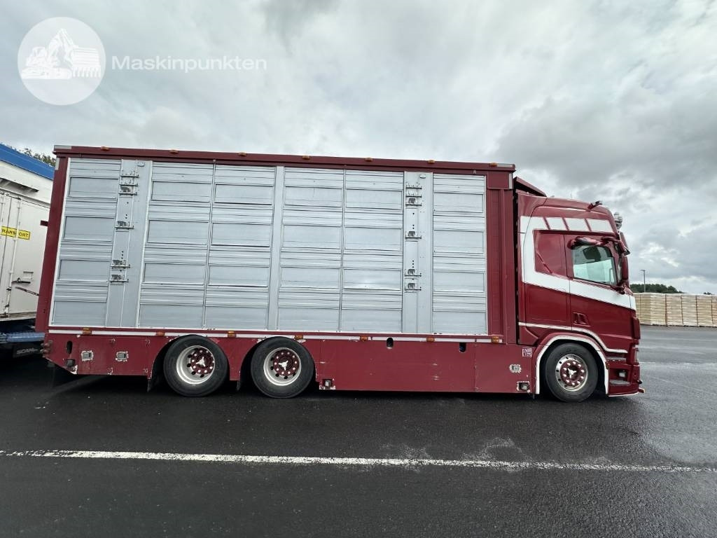 Scania R 580 Ekipage - Φορτηγό μεταφορά ζώων: φωτογραφία 5 Scania R 580 Ekipage - Φορτηγό μεταφορά ζώων: φωτογραφία 5