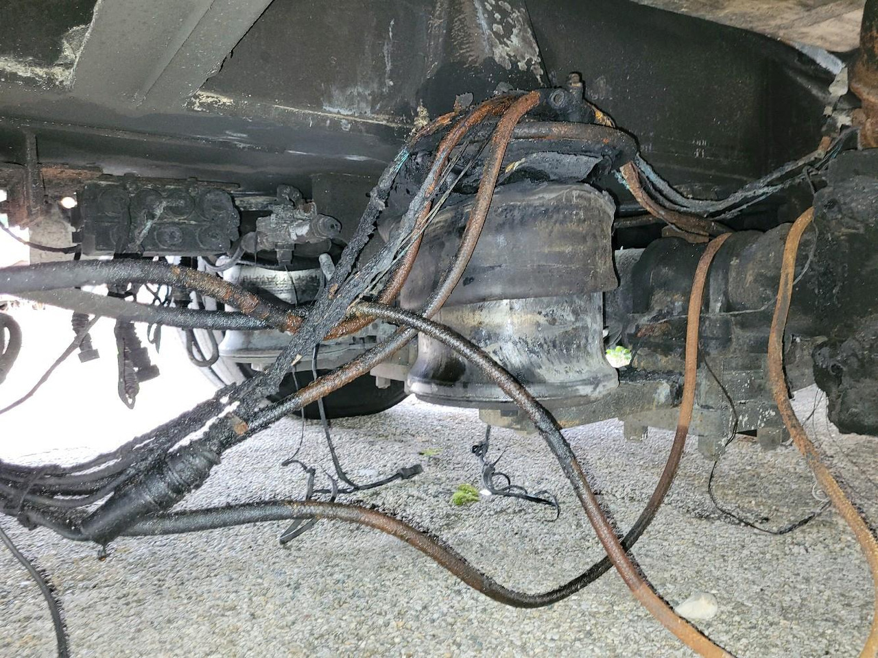 Επικαθήμενο με χαμηλό δάπεδο FAYMONVILLE FAYONWILL MULTIMAX: φωτογραφία 15 Επικαθήμενο με χαμηλό δάπεδο FAYMONVILLE FAYONWILL MULTIMAX: φωτογραφία 15