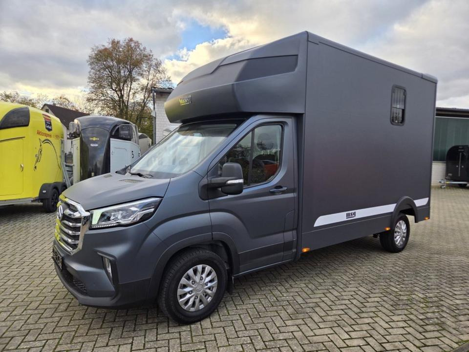 MSG Stablehopper Pferdetransporter Pferdeanhänger Böckmann - Φορτηγό μεταφοράς αλόγων: φωτογραφία 1 MSG Stablehopper Pferdetransporter Pferdeanhänger Böckmann - Φορτηγό μεταφοράς αλόγων: φωτογραφία 1