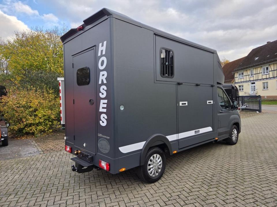 MSG Stablehopper Pferdetransporter Pferdeanhänger Böckmann - Φορτηγό μεταφοράς αλόγων: φωτογραφία 3 MSG Stablehopper Pferdetransporter Pferdeanhänger Böckmann - Φορτηγό μεταφοράς αλόγων: φωτογραφία 3