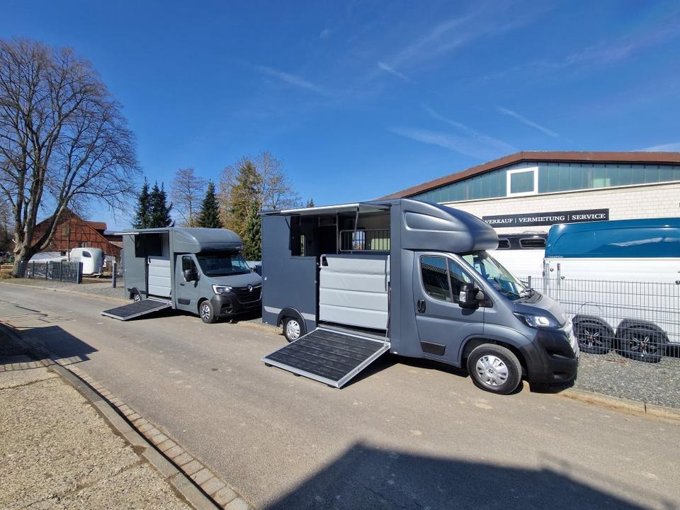 MSG Stablehopper Pferdetransporter Pferdeanhänger Böckmann - Φορτηγό μεταφοράς αλόγων: φωτογραφία 1 MSG Stablehopper Pferdetransporter Pferdeanhänger Böckmann - Φορτηγό μεταφοράς αλόγων: φωτογραφία 1