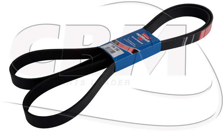 DAYCO BELT - KASSBOHRER DAF IRISBUS - IVECO - RVI (8311000859 | 1518746 | 1160281 | 7701003456) - Ιμάντας για Λεωφορείο: φωτογραφία 1 DAYCO BELT - KASSBOHRER DAF IRISBUS - IVECO - RVI (8311000859 | 1518746 | 1160281 | 7701003456) - Ιμάντας για Λεωφορείο: φωτογραφία 1