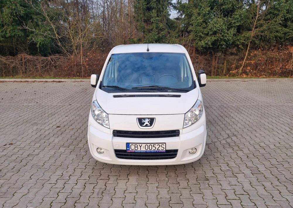 Μικρό βαν Peugeot Expert: φωτογραφία 9 Μικρό βαν Peugeot Expert: φωτογραφία 9