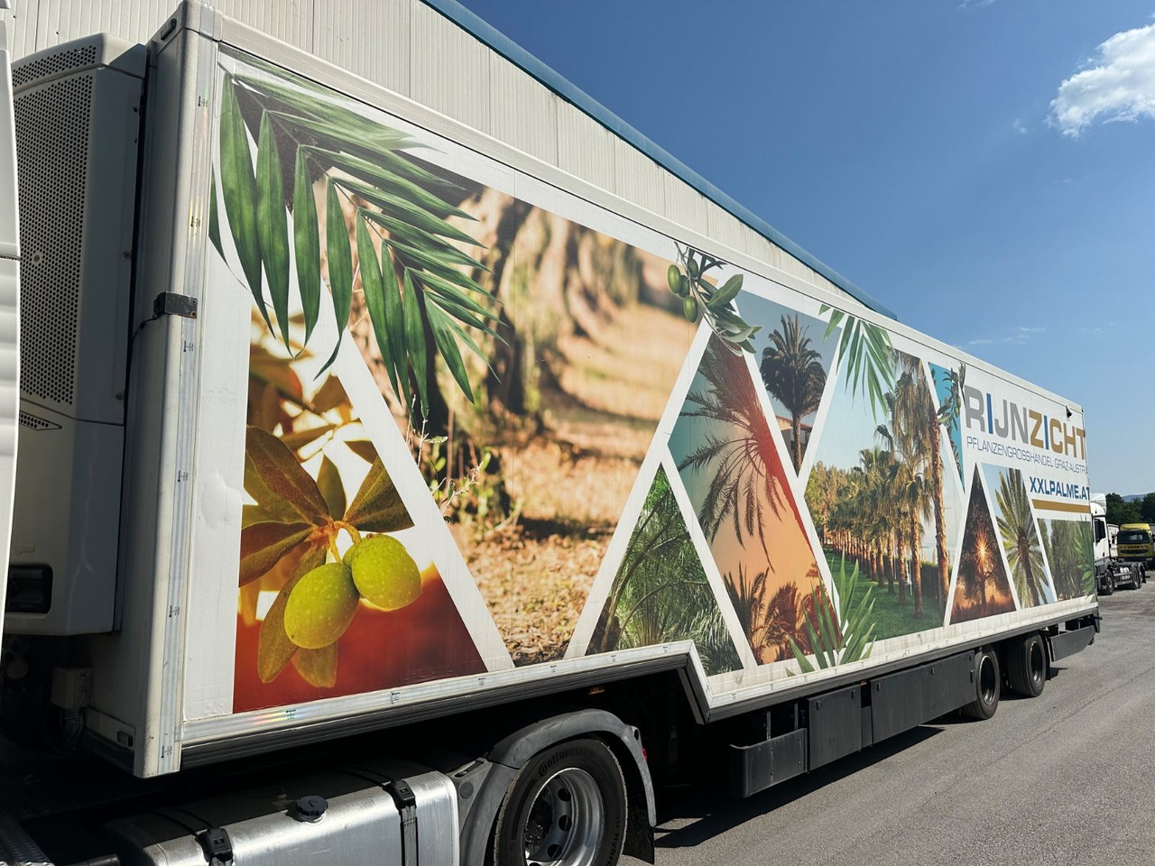 KMO-2TR Blumen Kühler TK SLX400 - Επικαθήμενο ψυγείο: φωτογραφία 1 KMO-2TR Blumen Kühler TK SLX400 - Επικαθήμενο ψυγείο: φωτογραφία 1