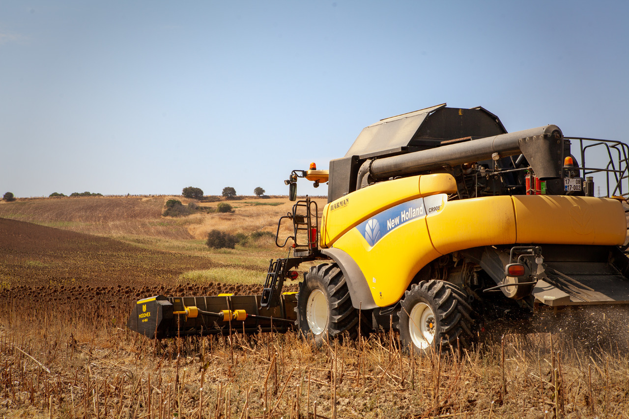 Modonex MX-630 - Ηλιομαχαιρο: φωτογραφία 3 Modonex MX-630 - Ηλιομαχαιρο: φωτογραφία 3