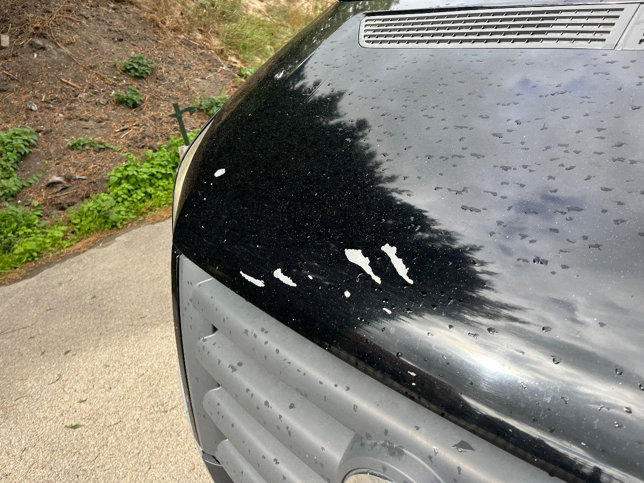 Volkswagen Crafter - Βαν: φωτογραφία 5 Volkswagen Crafter - Βαν: φωτογραφία 5