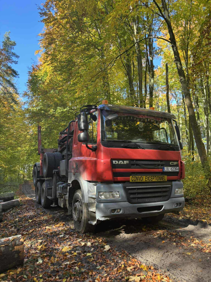 DAF CF510 - Φορτηγό ξυλείας, Φορτηγό με γερανό: φωτογραφία 1 DAF CF510 - Φορτηγό ξυλείας, Φορτηγό με γερανό: φωτογραφία 1