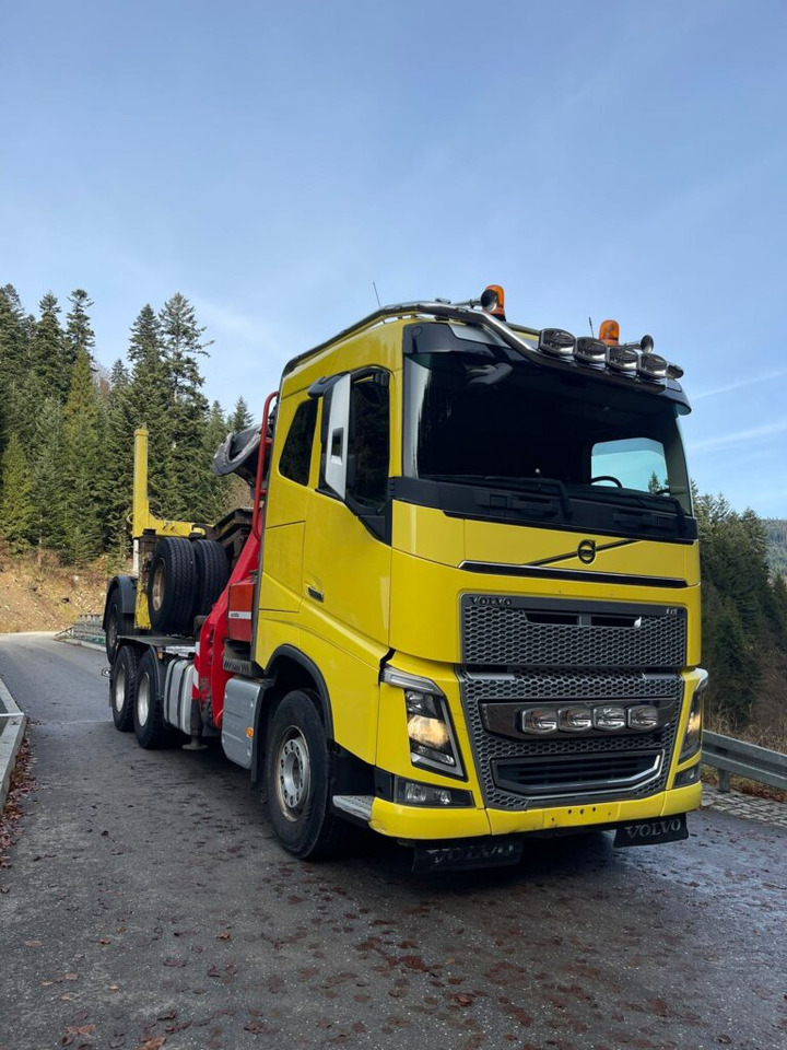 VOLVO FH16 650 - Τράκτορας, Τρέιλερ ξυλείας: φωτογραφία 3 VOLVO FH16 650 - Τράκτορας, Τρέιλερ ξυλείας: φωτογραφία 3