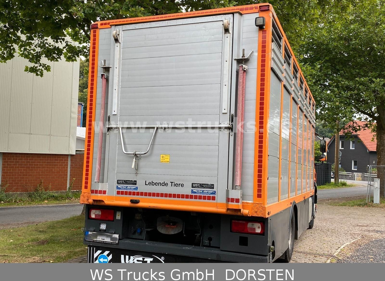 DAF CF 400 Menke Einstock - Φορτηγό μεταφοράς αλόγων: φωτογραφία 3 DAF CF 400 Menke Einstock - Φορτηγό μεταφοράς αλόγων: φωτογραφία 3