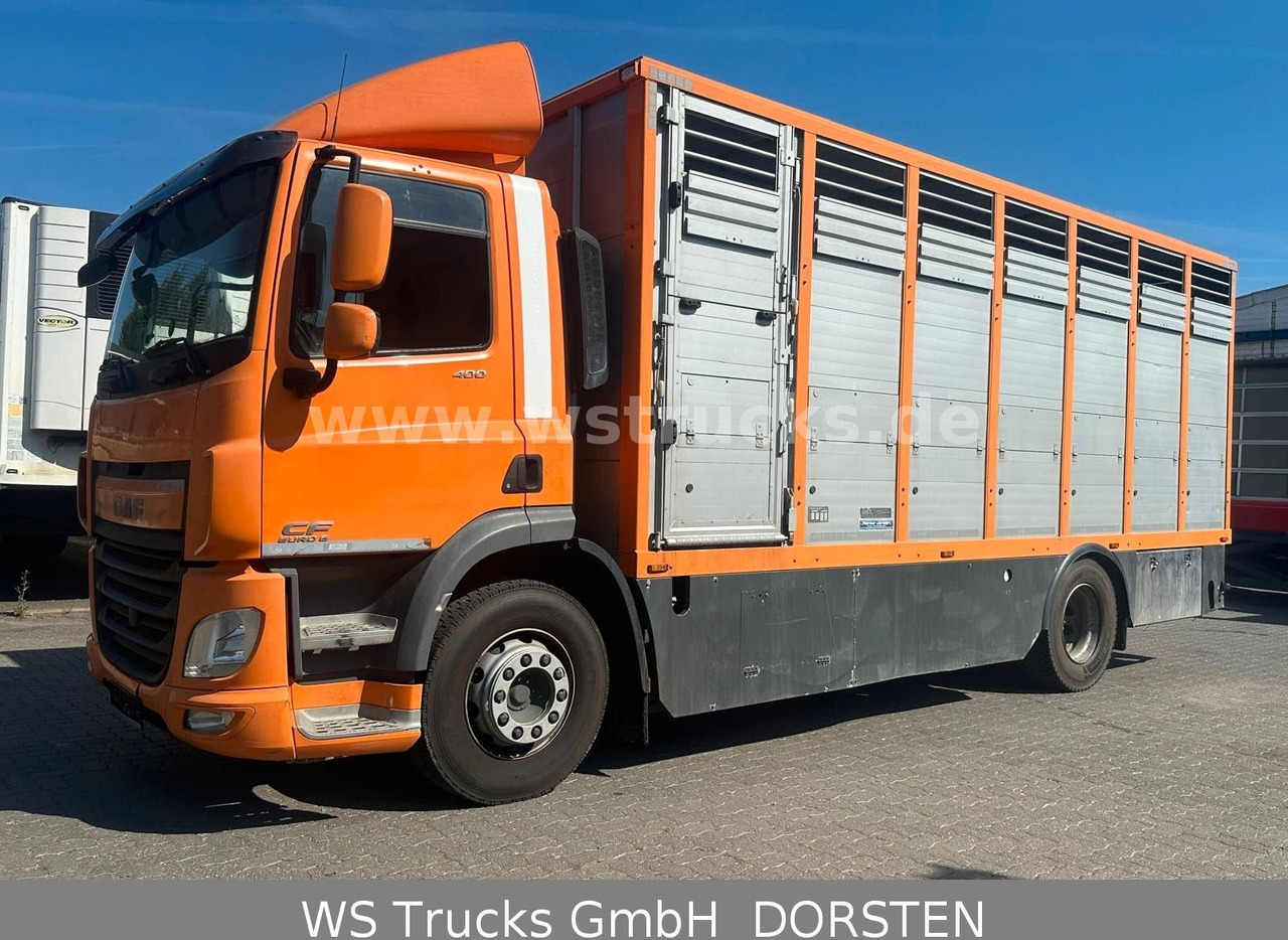 DAF CF 400 Menke Einstock - Φορτηγό μεταφοράς αλόγων: φωτογραφία 1 DAF CF 400 Menke Einstock - Φορτηγό μεταφοράς αλόγων: φωτογραφία 1
