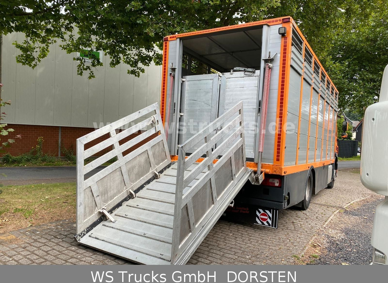 Φορτηγό μεταφοράς αλόγων DAF CF 400 Menke Einstock: φωτογραφία 8