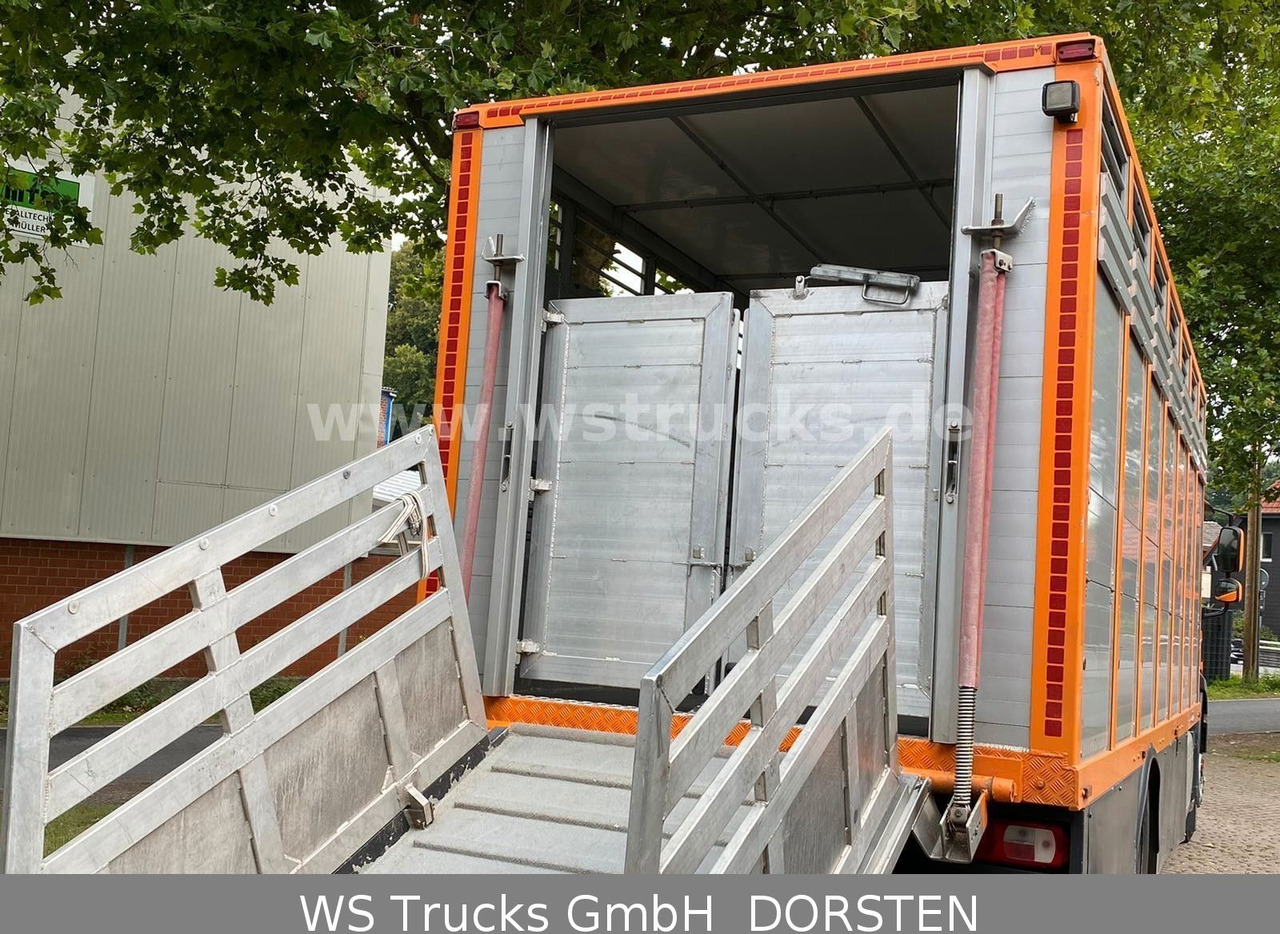 Φορτηγό μεταφοράς αλόγων DAF CF 400 Menke Einstock: φωτογραφία 7