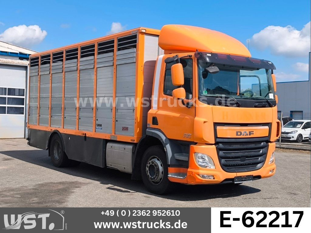 DAF CF 400 Menke Einstock - Φορτηγό μεταφοράς αλόγων: φωτογραφία 1 DAF CF 400 Menke Einstock - Φορτηγό μεταφοράς αλόγων: φωτογραφία 1