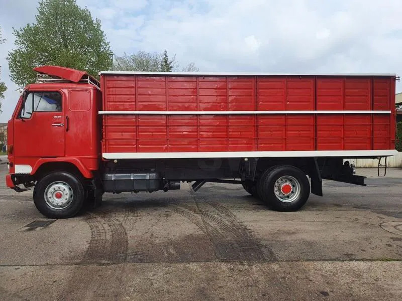 Volvo F 89 IC 4X2 Muldenkipper Kipper Oldtimer - Φορτηγό ανατρεπόμενο: φωτογραφία 4 Volvo F 89 IC 4X2 Muldenkipper Kipper Oldtimer - Φορτηγό ανατρεπόμενο: φωτογραφία 4
