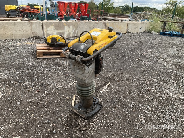 2021 Wacker Neuson BS60-2 Jumping Jack Tamper - Κόπανος συμπίεσης: φωτογραφία 1 2021 Wacker Neuson BS60-2 Jumping Jack Tamper - Κόπανος συμπίεσης: φωτογραφία 1