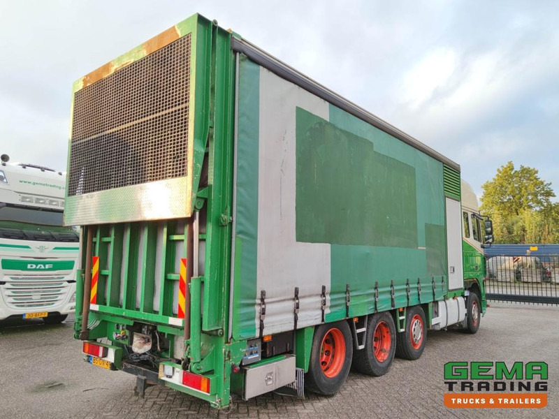 DAF FAK XF95.430 8x2 SuperSpaceCab Euro3 - CurtainSider 7.31m + Ramp 16T - MachineTransporter - 6 Persons  (V558) - Φορτηγό αυτοκινητάμαξα: φωτογραφία 4 DAF FAK XF95.430 8x2 SuperSpaceCab Euro3 - CurtainSider 7.31m + Ramp 16T - MachineTransporter - 6 Persons  (V558) - Φορτηγό αυτοκινητάμαξα: φωτογραφία 4